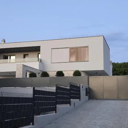 Magnolia فيلة Sorici